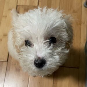 Meet your Posher, Riya